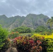 The start of Kualoa Ranch from the car park